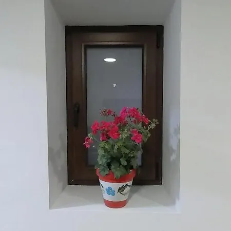 Alojamiento Los Naranjos Piscina Y Parking Gratuito Jaén Exterior foto
